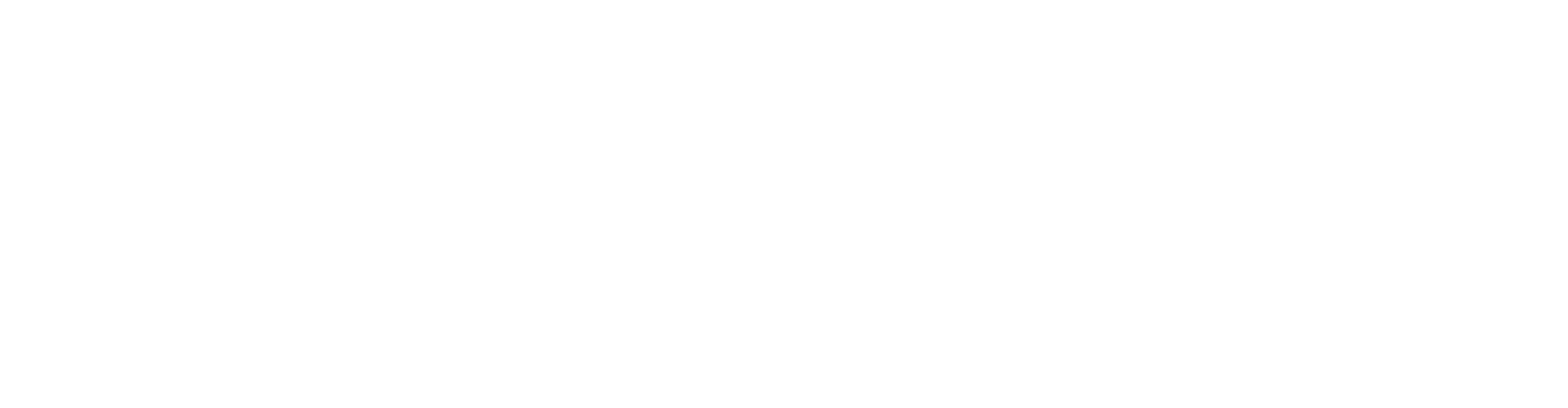 SER_Logo2025-WHT